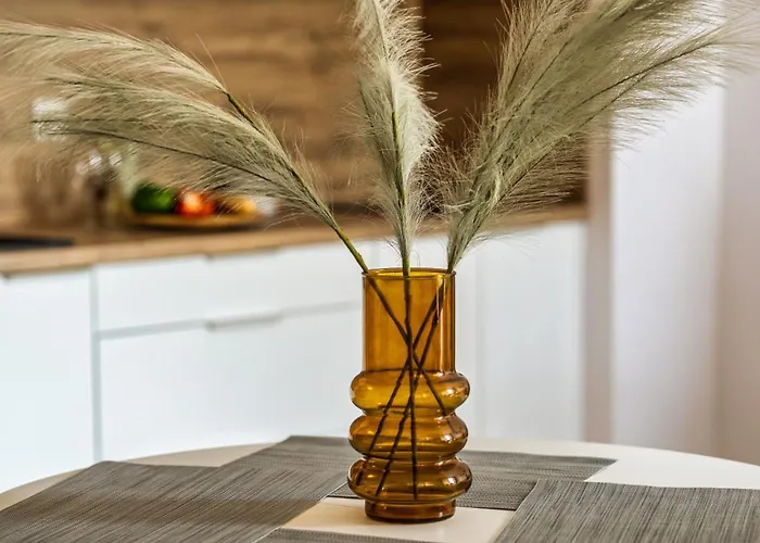 Trimare Piamola, Z Basenem I Bilardem, Bezplatne Solarium * Sztutowo